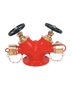 Stainless Steel Fire Fighting Double Headed Hydrant Valve (Type - B) - Winco