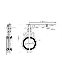 C.I Butterfly Valve Replaceable Seat & Disc BFY - SANT Valve