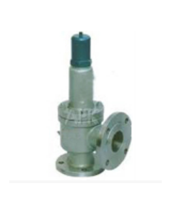 Cast Carbon Steel Safety Valve Flanged Ends - Prime-150 Class - 25 mm
