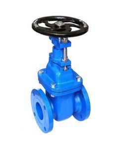 Cast Iron Gate Valve