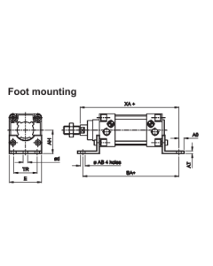 Front Foot Mounting (DIA 40,DIA 50, Dia 63), Series A12 , A13 - Janatics