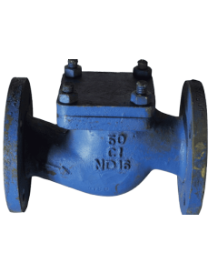 CI Ball Type Check Valve Nitrile Rubber Ball (Screwed) LIV-NRV-CI-FE-001 Lehry