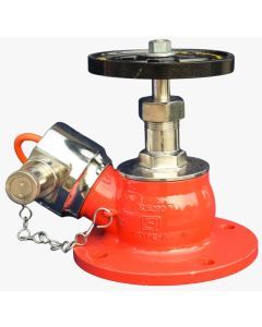 ss fire hydrant valve
